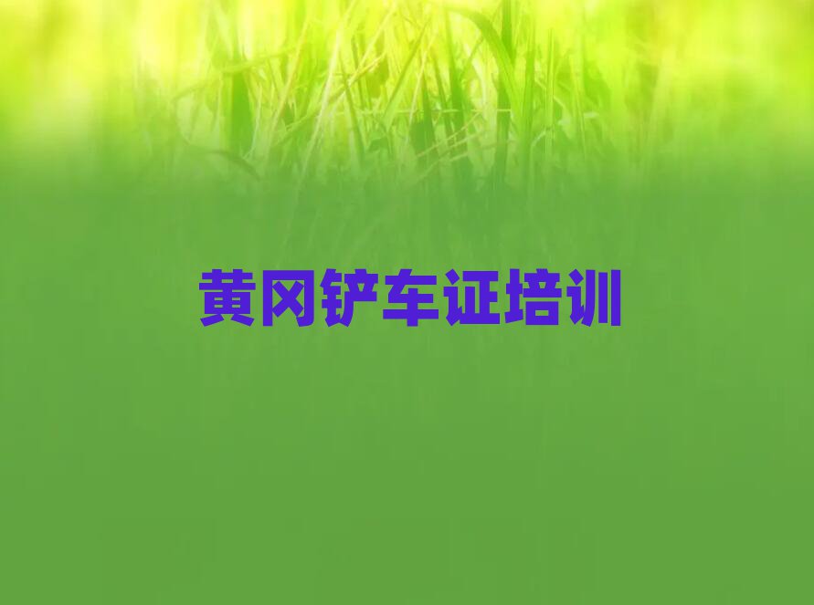 ƸԻѧ֤ʲôѧУð׽һϸ