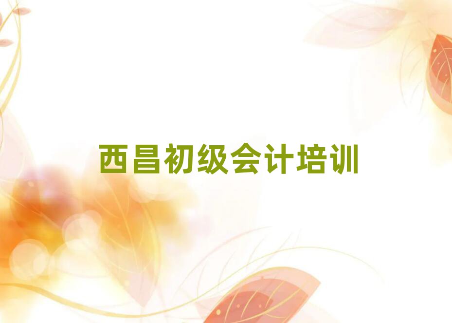 西昌学初级会计的学校十大排行