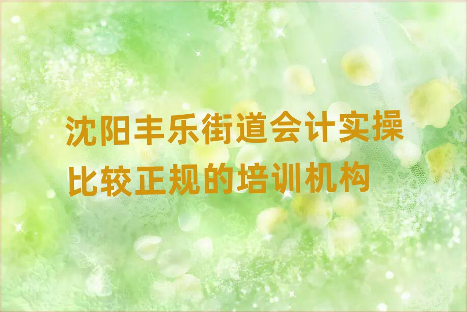 沈阳丰乐街道会计实操比较正规的培训机构