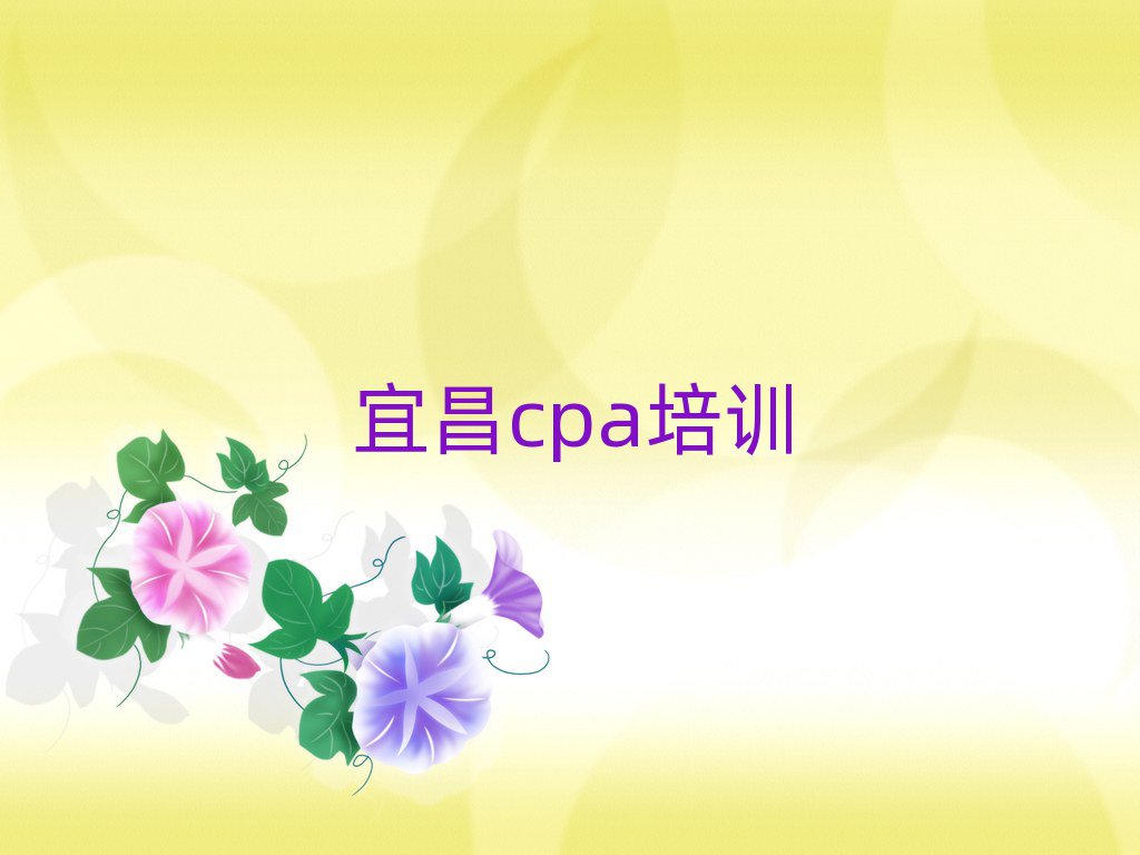 2025年宜昌西陵区学cpa学校哪个好推荐一览