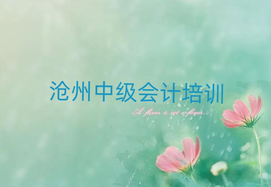 4月沧州小赵庄乡中级会计班