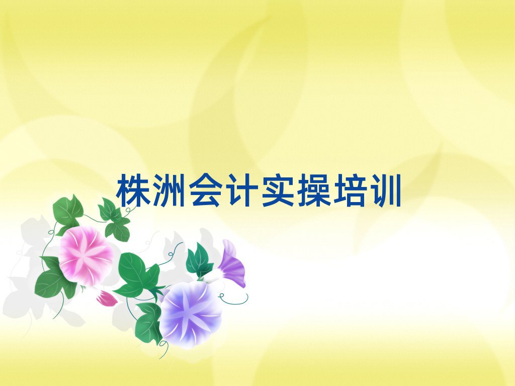 2025年株洲芦淞区会计做账有哪些有名的会计做账培训班十大排名