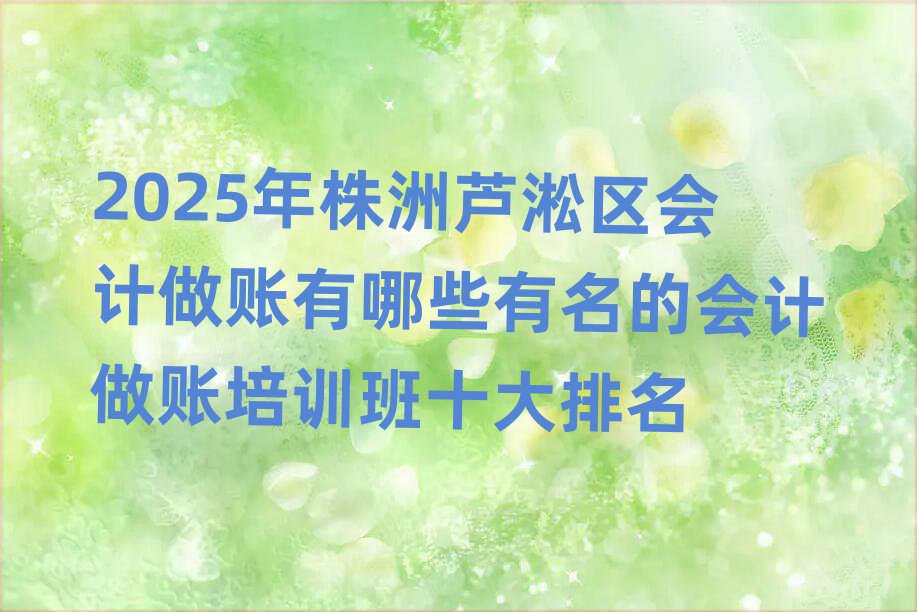 2025年株洲芦淞区会计做账有哪些有名的会计做账培训班十大排名