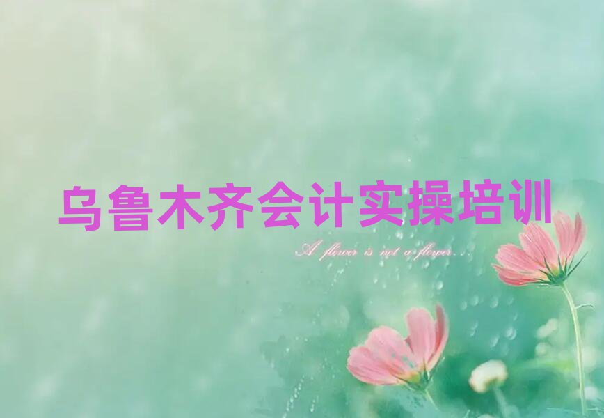 乌鲁木齐靠谱的会计实操机构