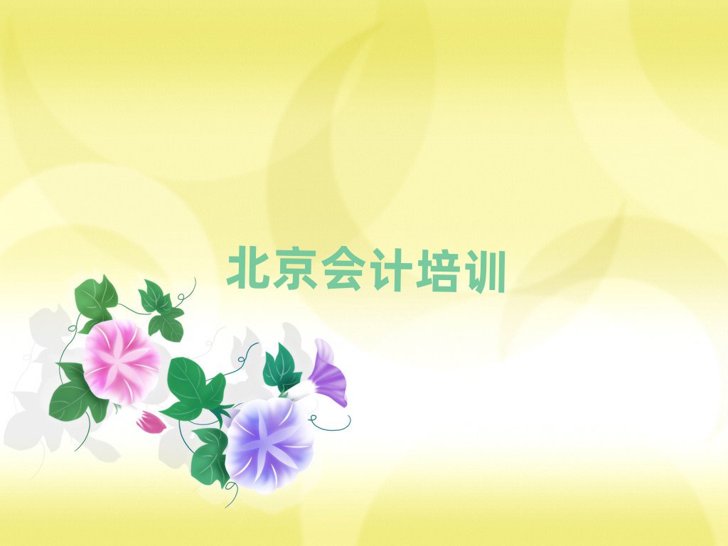 4月北京会计培训班十强