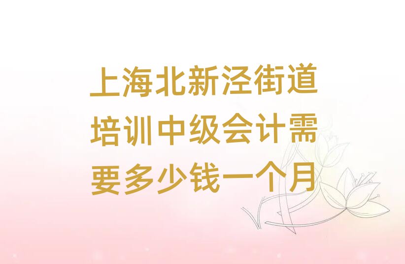 上海北新泾街道培训中级会计需要多少钱一个月