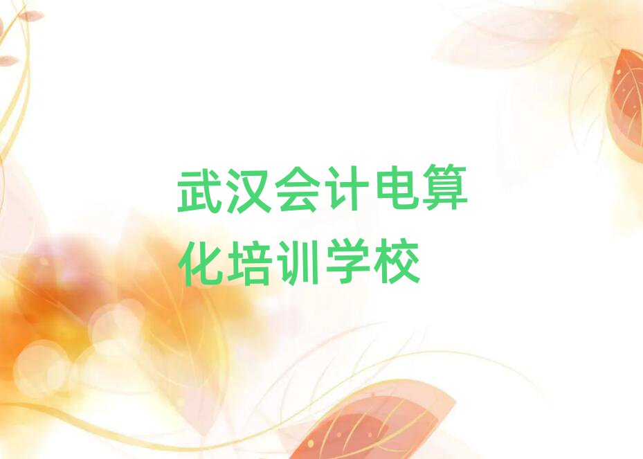 2025年武汉汉南区专业会计电算化培训学校哪家好点