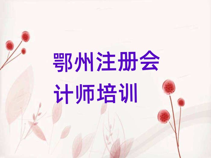 鄂州鄂城区注册会计师培训班时间安排表十大排名