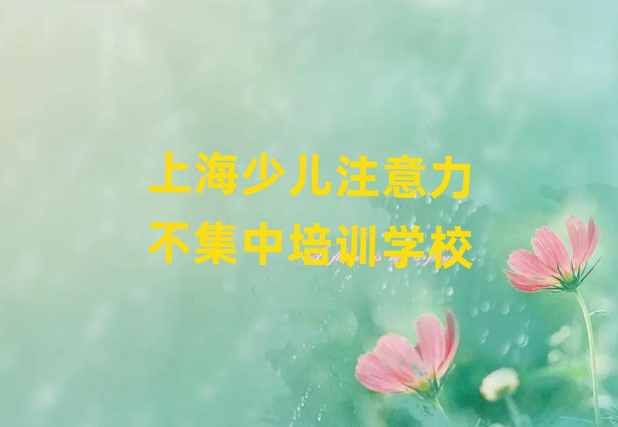 上海少儿注意力不集中在线培训