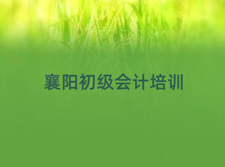 4月襄阳双沟镇初级会计培训多少钱