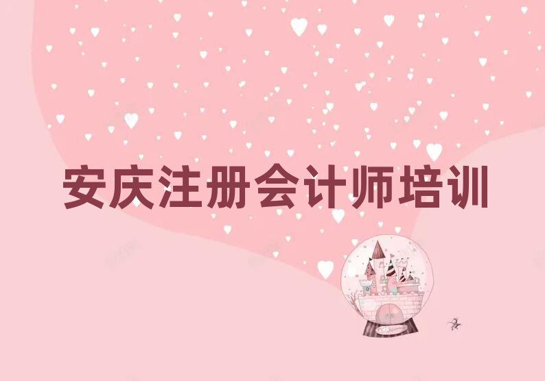 安庆宜秀区注册会计师网络培训