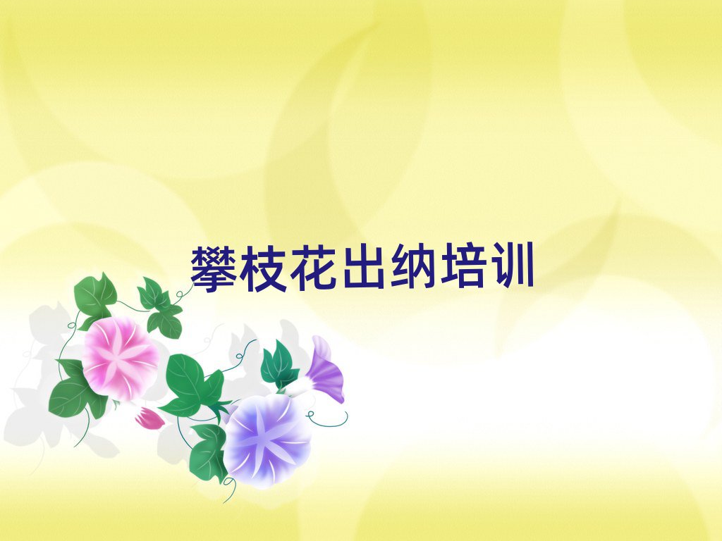 攀枝花出纳网络学习十大名单排名甄选