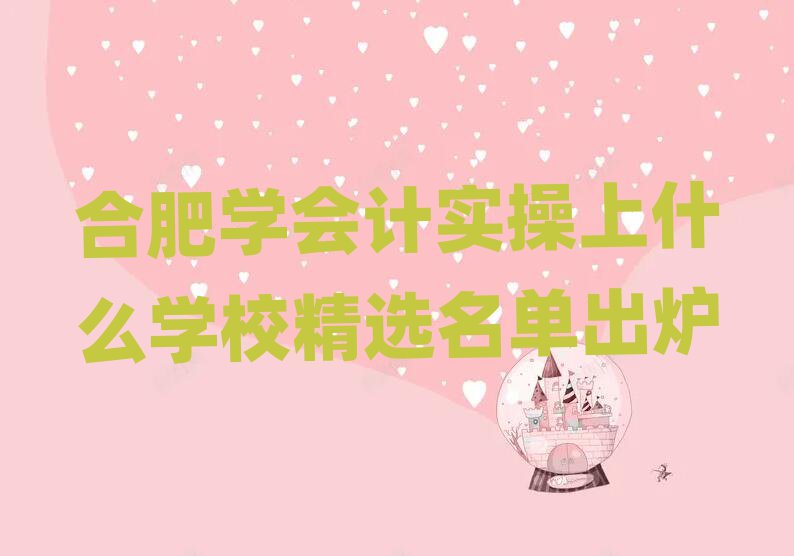 合肥学会计实操上什么学校精选名单出炉