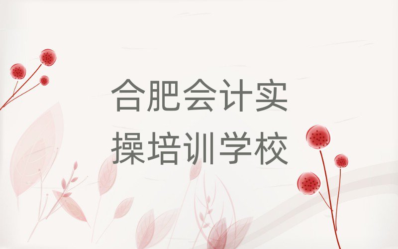 合肥学会计实操上什么学校精选名单出炉