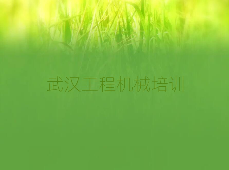 2025人ɽʲô泵ʻ֤ѵýһ