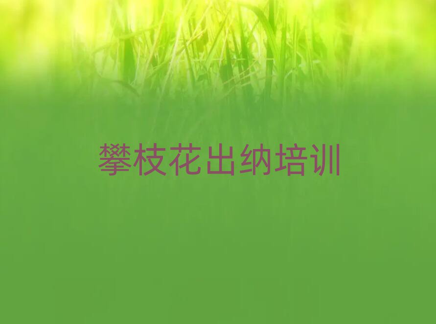 攀枝花东区出纳培训价格表排名top10