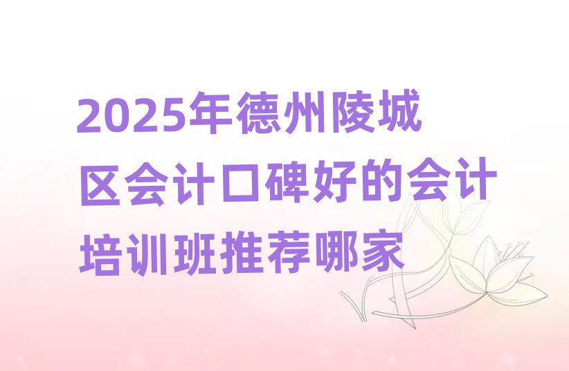 2025年德州陵城区会计口碑好的会计培训班推荐哪家