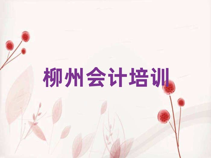 2025年柳州城中区会计培训班课程排名top10