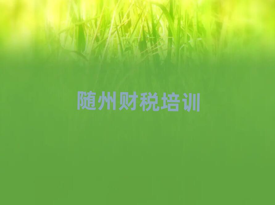 2025年随州曾都区财税速成班学校哪个好排名一览表