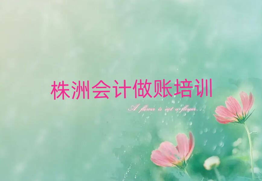 株洲芦淞区学会计做账好的学校一览