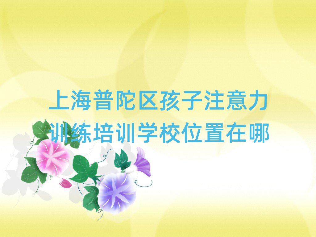 上海普陀区孩子注意力训练培训学校位置在哪