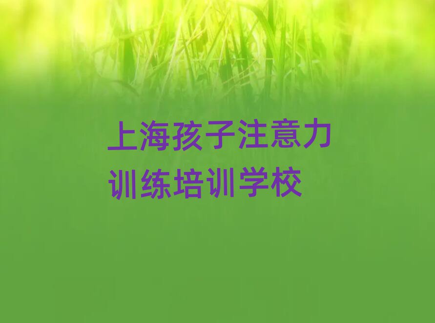 上海普陀区孩子注意力训练培训学校位置在哪