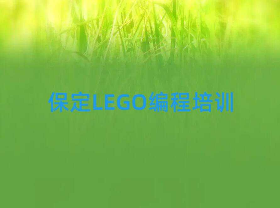 ԷѧLEGOһ