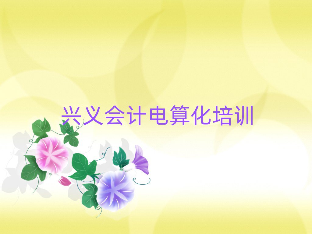 兴义平桂区什么学校可以学会计电算化