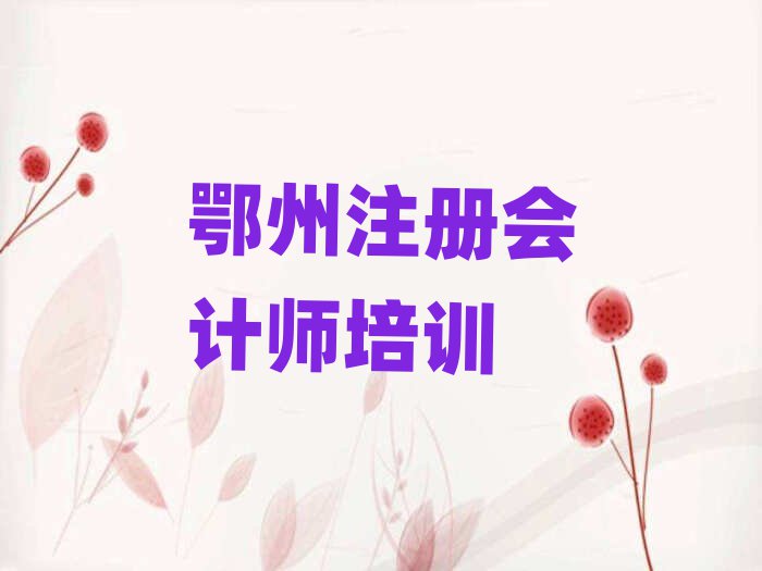 2025鄂州注册会计师在线培训班排名榜