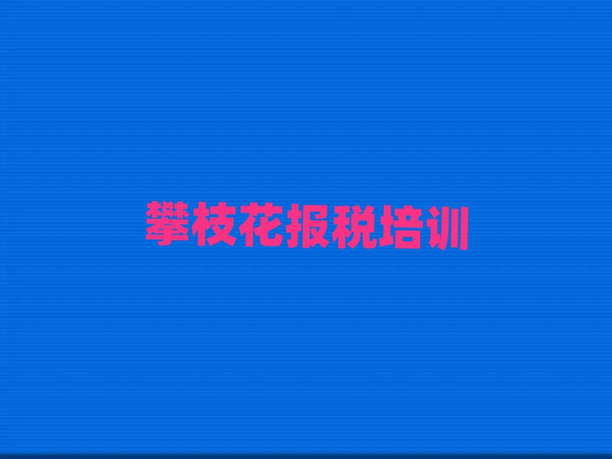 攀枝花东区去哪里学财税好人气排行榜一览表