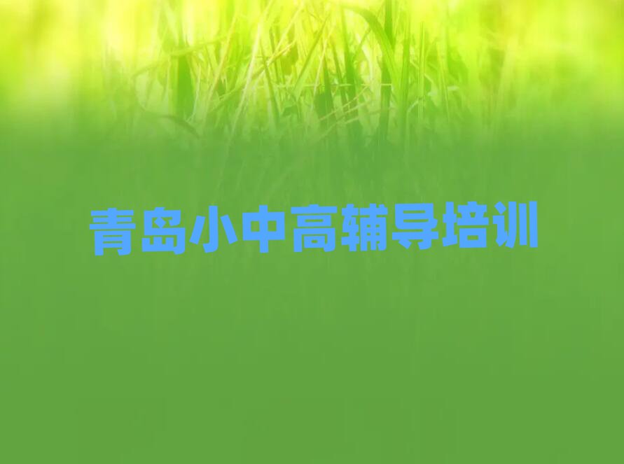 青岛市南区学初中政治去哪个学校好排名前十