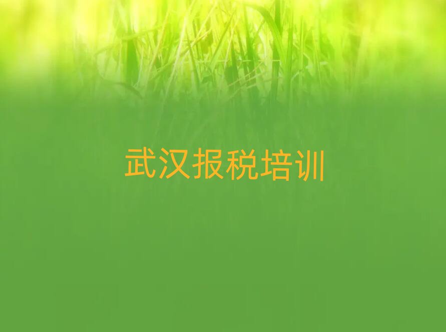 武汉东西湖区财税培训班一小时多少钱名单一览