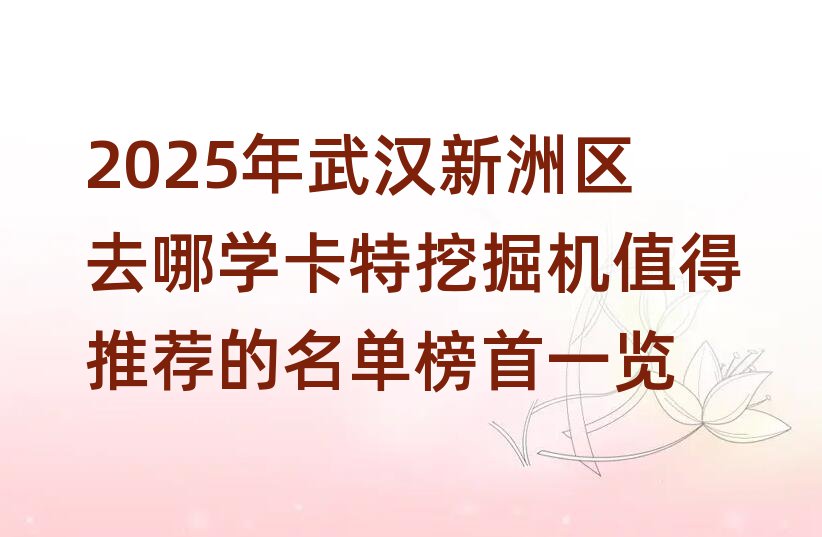 2025人ȥѧھֵƼһ