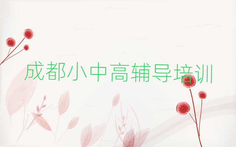 成都锦江区学小升初的正规学校推荐哪个