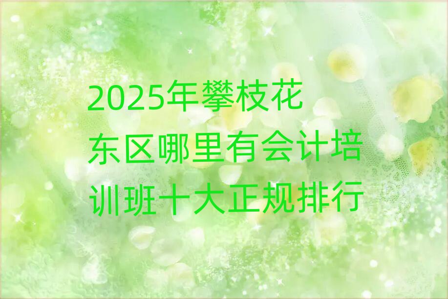 2025年攀枝花东区哪里有会计培训班十大正规排行