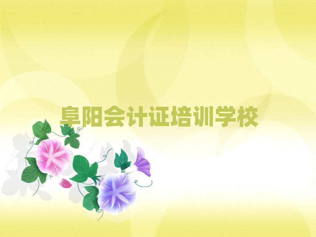2025年阜阳口孜镇会计证培训班多少钱