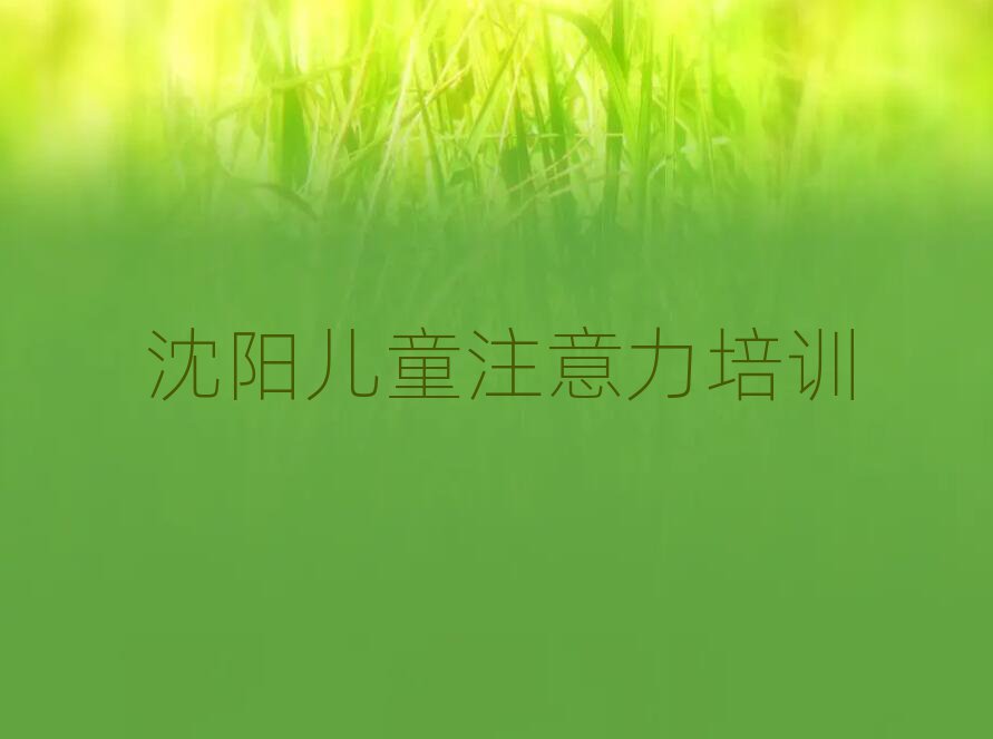 2025年沈阳少儿注意力训练培训说明