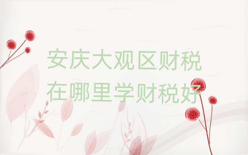安庆大观区财税在哪里学财税好