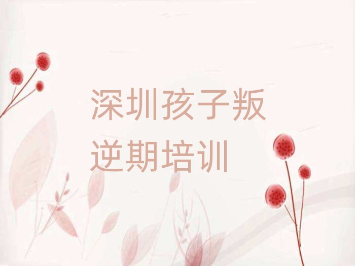 深圳学孩子叛逆期培训班十大排名名单公布