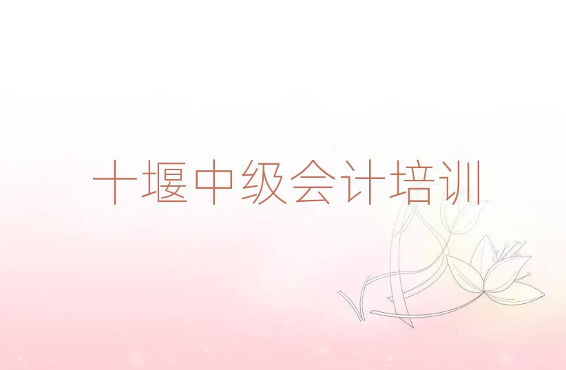 十堰茅箭区中级会计培训班去哪找