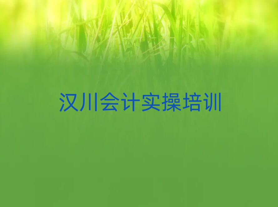 2025年汉川会计实操学校在哪本地实力排名一览更新