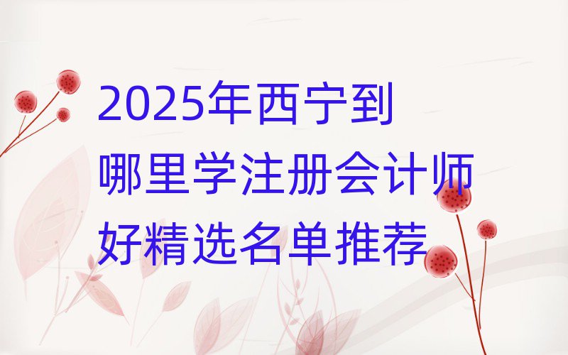 2025年西宁到哪里学注册会计师好精选名单推荐