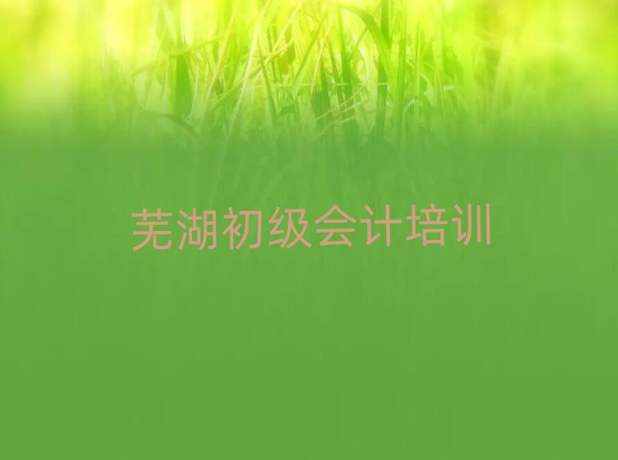 2025年芜湖弋江区学初级会计速成班