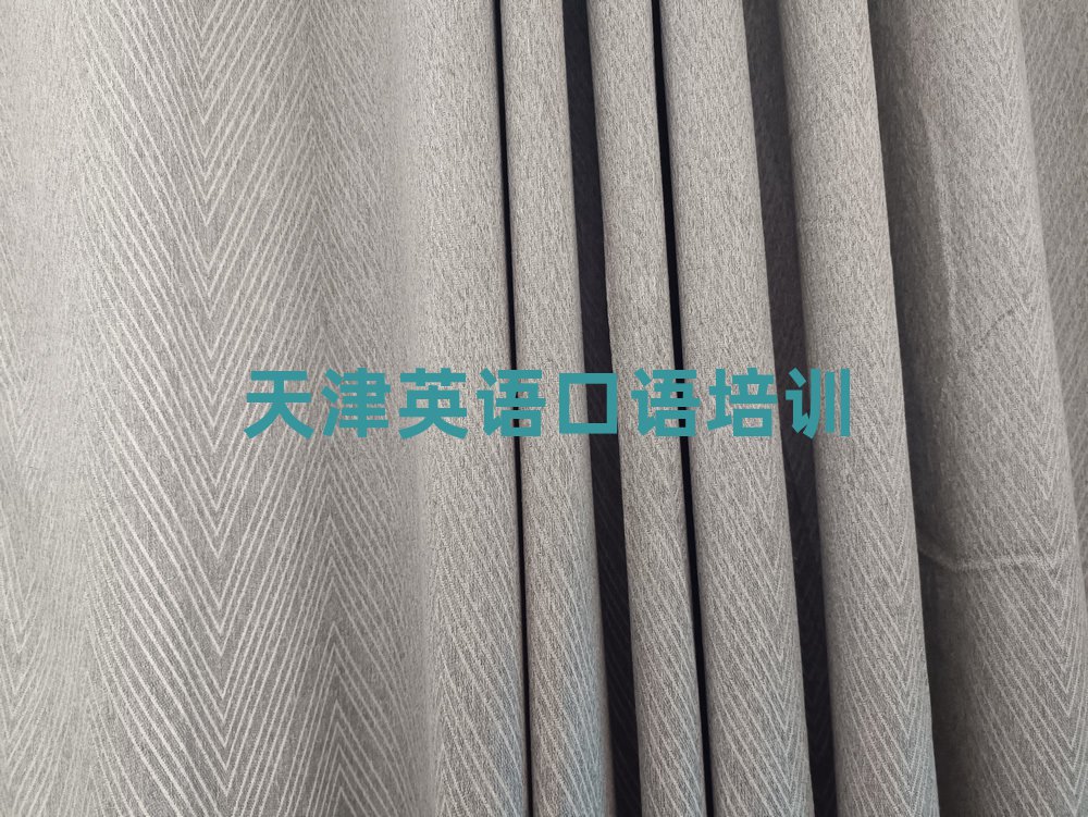 天津滨海新区英语口语在线学习班名单揭秘一览
