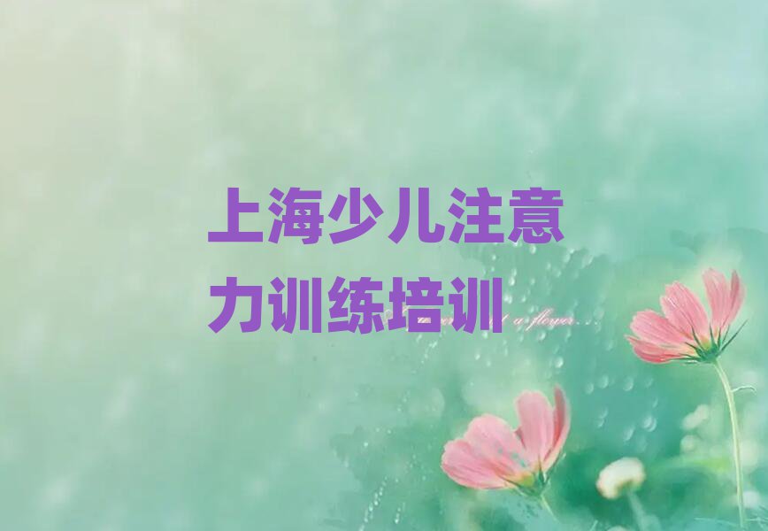2025年上海杨浦区少儿注意力训练报个少儿注意力训练培训班多少钱