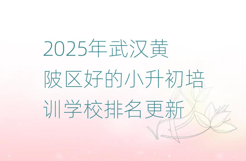 2025年武汉黄陂区好的小升初培训学校排名更新
