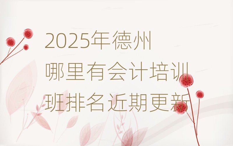 2025年德州哪里有会计培训班排名近期更新