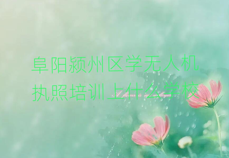 ѧ˻ִѵʲôѧУ