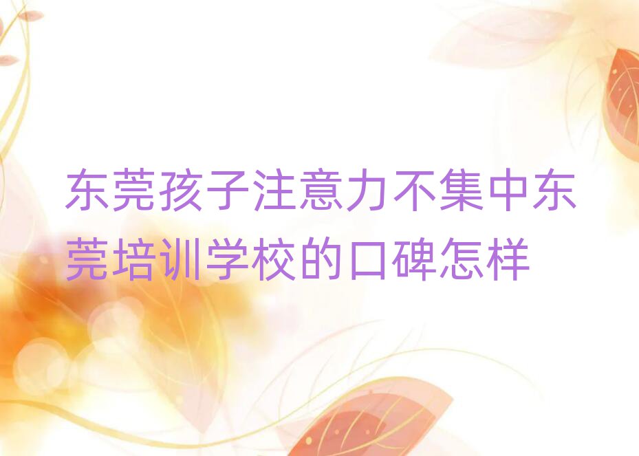 东莞孩子注意力不集中东莞培训学校的口碑怎样