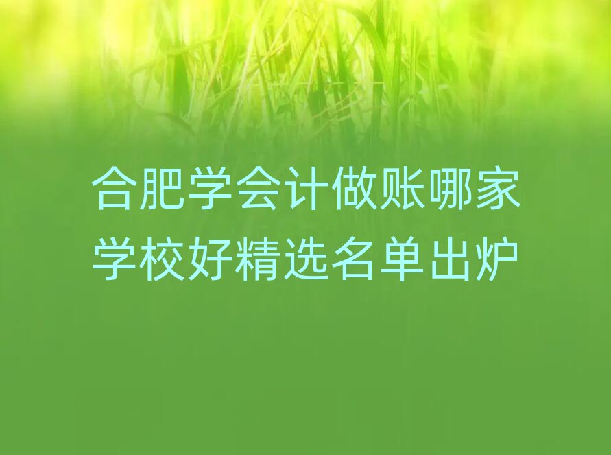 合肥学会计做账哪家学校好精选名单出炉